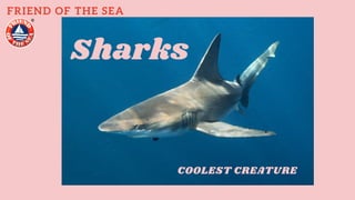 FRIEND OF THE SEA
Sharks
COOLEST CREATURE
 