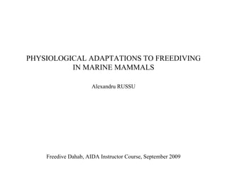 PHYSIOLOGICAL ADAPTATIONS TO FREEDIVING
IN MARINE MAMMALS
Alexandru RUSSU
Freedive Dahab, AIDA Instructor Course, September 2009
 