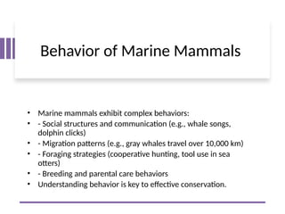 Marine_Mammals_Presentation-biology-conservation.pptx