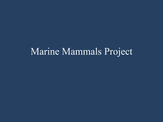 Marine Mammals Project
 