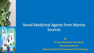Novel Medicinal Agents from Marine
Sources
By
Dr Gana Manjusha Kondepudi
Associate Professor
Vignan Institute of Pharmaceutical Technology
 