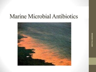 Marine MicrobialAntibiotics
NEETHUASOKAN
 