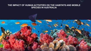 The impact of human activities on the habitat and mobile marine species ...