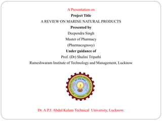 A Presentation on
Project Title
A REVIEW ON MARINE NATURAL PRODUCTS
Presented by
Deependra Singh
Master of Pharmacy
(Pharmacognosy)
Under guidance of
Prof. (Dr) Shalini Tripathi
Rameshwaram Institute of Technology and Management, Lucknow
Dr. A.P.J. Abdul Kalam Technical University, Lucknow.
 