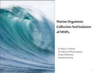 MarineOrganisms
CollectionAnd Isolation
of MNPs.
2/15/2020 1Dr. Mosa E. O. Ahmed
Dr. Mosa E. O. Ahmed
As. Professor of Pharmacognosy
Facultyof Pharmacy
AlneelainUniversity
 