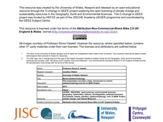 Globigerinoidessacculifer