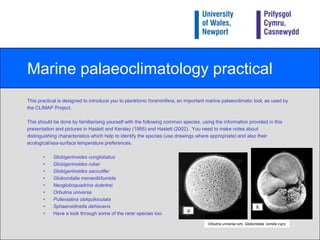 Case study: the CLIMAP ProjectCLIMAP (1976) was significant because:It was the first project to provide constraining data for GCMs (Dawson, 1992);It provided testable results which stimulated research into:refinement of existing, and development of new, techniques, including downcore applications.land-based records for land-ocean comparisons (e.g. Rind and Peteet, 1985; Haslett, 2002);Stimulated research into other climatically significant times, such as the mid-Pliocene (PRISM Project e.g.Dowsett, 1994), Plio-Pleistocene Boundary (Olduvai Project e.g.Funnellet al., 1996), last interglacial (Ruddiman, 1984), the Holocene (COHMAP Project, 1988), as well as continued research on the LGM (Wolff et al., 1998; EPILOG Project, Mix et al., 2001).  However, some of this further work has cast doubt over the CLIMAP Project results (e.g. Rind and Peteet, 1985), which has led to some controversy in the palaeoclimate community (Haslett, 2002).