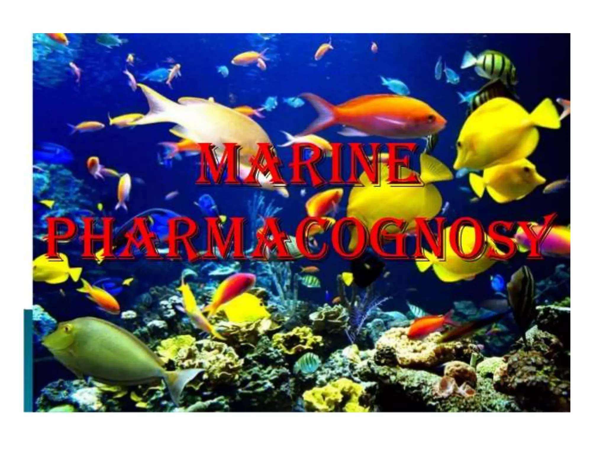 marine-pharmacognosy-pptx