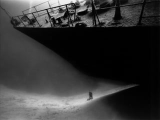 Marine photos