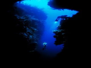 Marine photos