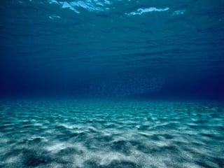 Marine photos