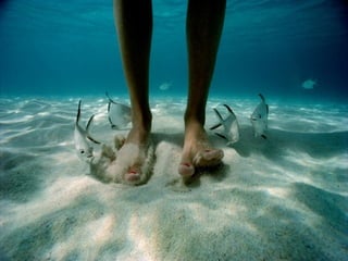Marine photos