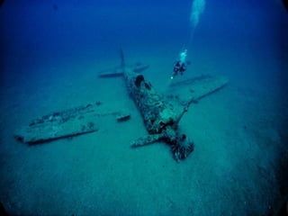 Marine photos