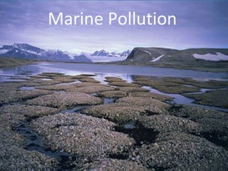 Marine Pollution

1

 
