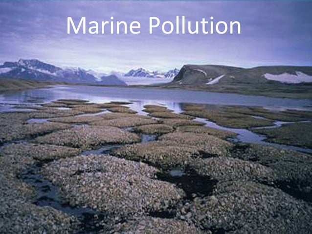 Marine pollution | PPT