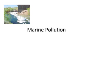 Marine Pollution
 