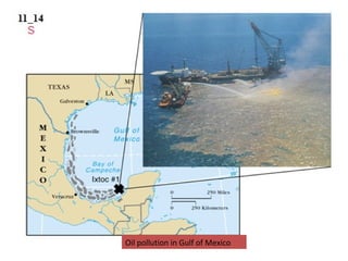 Oil pollution in Gulf of Mexico
 