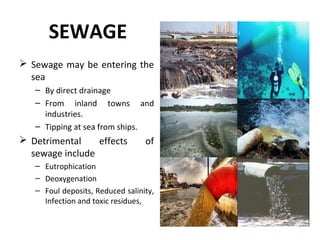 SEWAGE
 Sewage may be entering the
sea
– By direct drainage
– From inland towns and
industries.
– Tipping at sea from ships.
 Detrimental effects of
sewage include
– Eutrophication
– Deoxygenation
– Foul deposits, Reduced salinity,
Infection and toxic residues,
 
