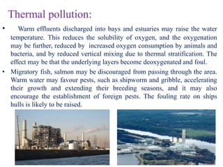 Marine pollution | PPTX