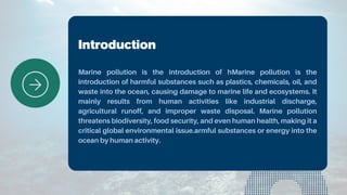 Pollution Introduction.pdf MARINE POLLUTION.pdf.................... | PDF