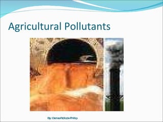 Agricultural Pollutants By: Denise Rollock-Phillip 