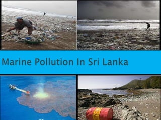 Marine Pollution In Sri Lanka 