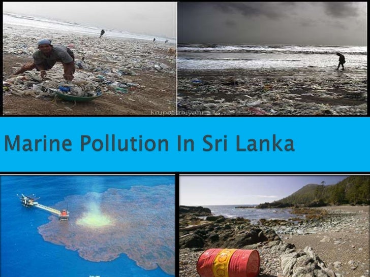 essay about water pollution in sri lanka essay about water pollution in sri lanka