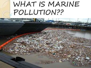 WHAT IS MARINE
POLLUTION??
 