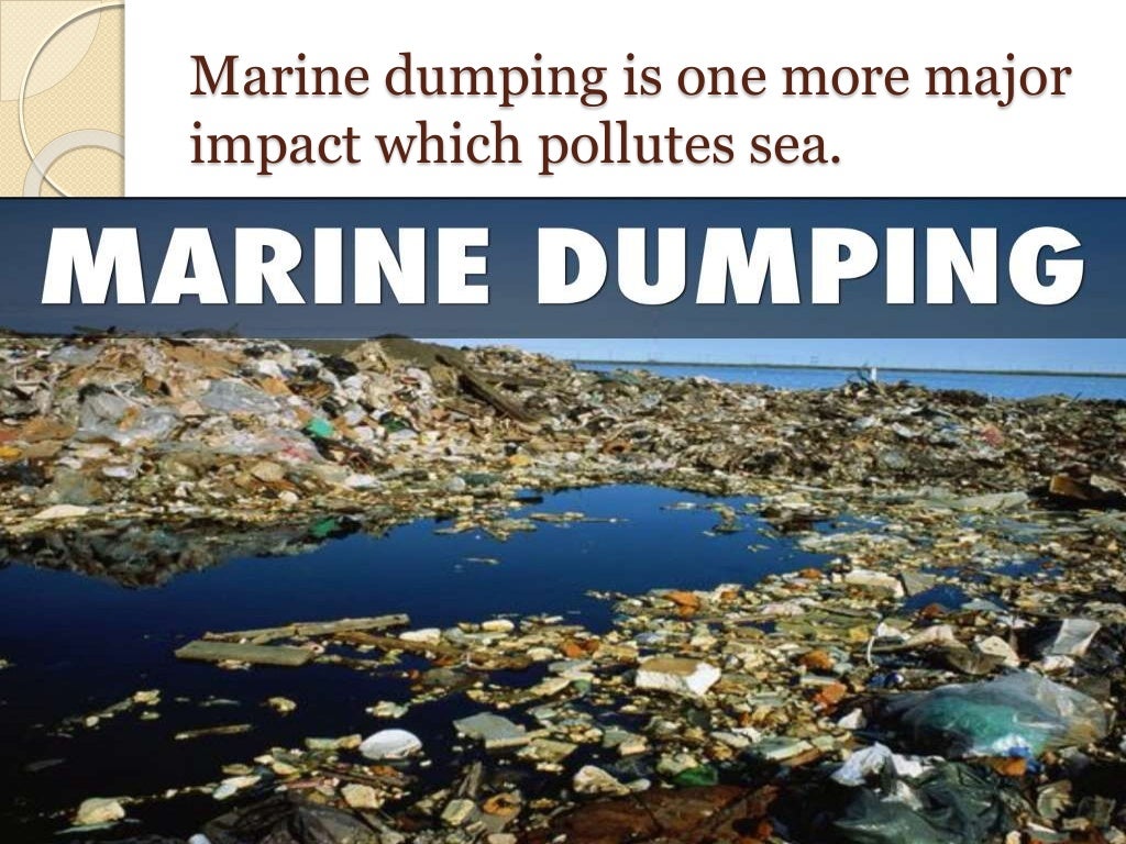 assignment 05.06 marine pollution