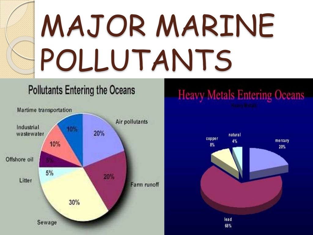 marine-pollution-ppt