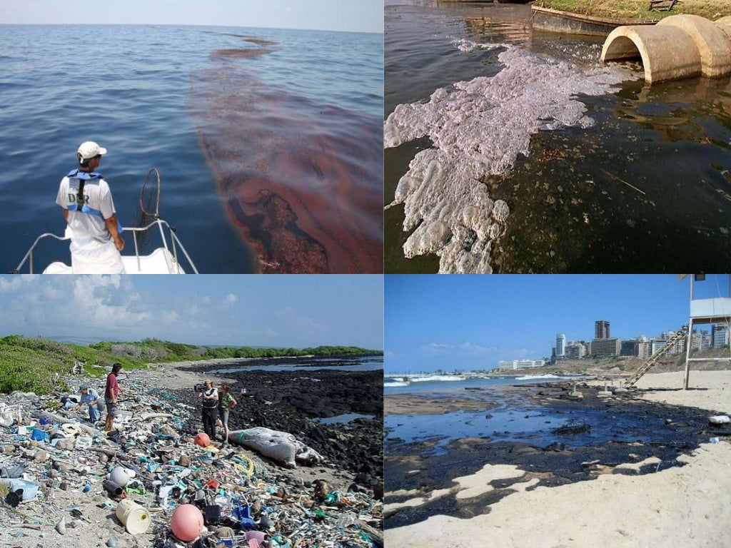 case study on marine pollution in india ppt