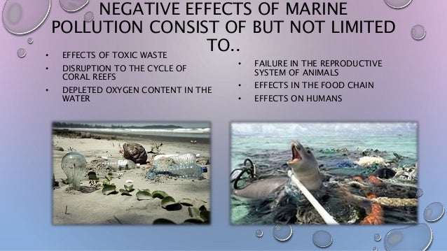 The Negative Effects Of Water Pollution