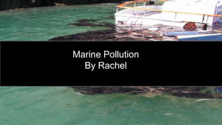 Marine Pollution
By Rachel
 
