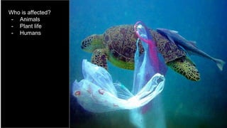 Who is affected?
- Animals
- Plant life
- Humans
 