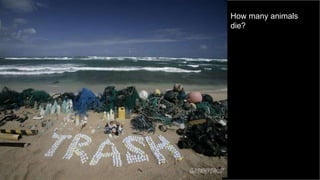 How many animals
die?
 