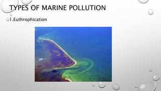 TYPES OF MARINE POLLUTION
1.Euthrophication