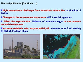 Marine pollution sth | PPT