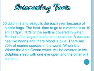 50 dolphins and seagulls die each year because of
 plastic bags. The best time to go to a marine is at 10
 am till 3pm. 70% of the earth is covered in water.
 Marine is the largest habitat on the planet. A octopus
 has five hearts and there blood is blue. There are
 25% of marine species in the world. When it is
 Winter the Artic Ocean water will be covered in ice.
 Dolphins sleep with one eye open and the other will
 be shut.
 