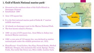 1. Gulf of Kutch National marine park:
 Situated on the southern shore of the Gulf of Kutch in
Jamnagar, Gujarat.
 Established: 1980
 Area: 270 square km
 It is the first national marine park of India & 1st marine
wildlife sanctuary.
 42 islands on Jamnagar coast in the Marine National Park.
 The best known island is Pirotan.
 1980- an area of 270 square km., from Okha to Jodiya was
declared Marine sanctuary.
 1982- a core area of 110 square km. was declared as marine
national park under the wildlife protection act, 1972.
 Flora/Fauna:- Coral Lichen, Sea Slug, Painted Storks, Shelled
Mollusks, Octopus, Sea mammals Sea weed, Sponge, Prawn,
Crabs, Sea turtle like Green sea, Olive riddle, Leather back.
 