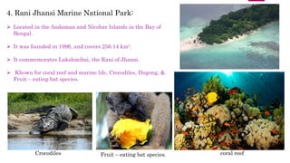 4. Rani Jhansi Marine National Park:
 Located in the Andaman and Nicobar Islands in the Bay of
Bengal.
 It was founded in 1996, and covers 256.14 km².
 It commemorates Lakshmibai, the Rani of Jhansi.
 Khown for coral reef and marine life, Crocodiles, Dugong, &
Fruit – eating bat species.
Fruit – eating bat species.Crocodiles coral reef
 