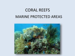 CORAL REEFS 
MARINE PROTECTED AREAS 
 