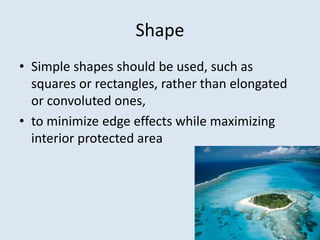 Shape 
• Simple shapes should be used, such as 
squares or rectangles, rather than elongated 
or convoluted ones, 
• to minimize edge effects while maximizing 
interior protected area 
 