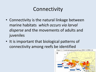 Connectivity 
• Connectivity is the natural linkage between 
marine habitats which occurs via larval 
disperse and the movements of adults and 
juveniles 
• It is important that biological patterns of 
connectivity among reefs be identified 
 