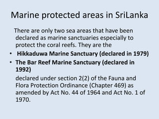 Marine protected areas in SriLanka 
There are only two sea areas that have been 
declared as marine sanctuaries especially to 
protect the coral reefs. They are the 
• Hikkaduwa Marine Sanctuary (declared in 1979) 
• The Bar Reef Marine Sanctuary (declared in 
1992) 
declared under section 2(2) of the Fauna and 
Flora Protection Ordinance (Chapter 469) as 
amended by Act No. 44 of 1964 and Act No. 1 of 
1970. 
 