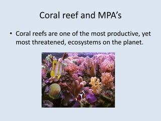 Coral reef and MPA’s 
• Coral reefs are one of the most productive, yet 
most threatened, ecosystems on the planet. 
 