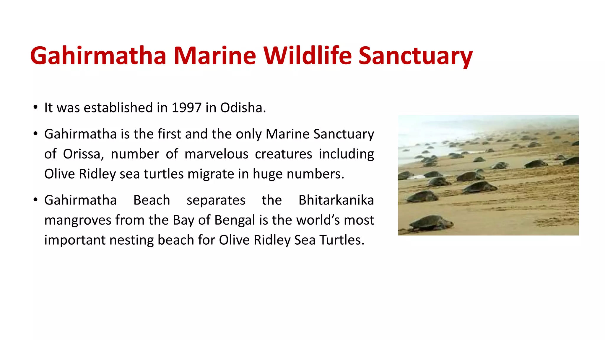 MARINE PROTECTED AREAS.pptx | Free download