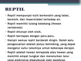 REPTIL
• Reptil mempunyai kulit berkeratin yang tebal,
bersisik, dan impermiabel terhadap air.
• Reptil memiliki tulang belakang (Hewan
vertebrata)
• Reptil ditutupi oleh sisik.
• Reptil bernapas dengan paru-paru.
• Hampir semua reptil berdarah dingin. Salah satu
pengecualian adalah penyu belimbing, yang dapat
mengatur suhu tubuhnya untuk beberapa derajat.
• Reptil adalah hewan tetrapoda atau hewan yang
memiliki empat tungkai dan menelurkan telur
yang embrionya diselubungi oleh membran
 