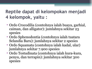 Reptile dapat di kelompokan menjadi
4 kelompok, yaitu :
• Ordo Crocodilia (contohnya ialah buaya, garhial,
caiman, dan alligator): jumlahnya sekitar 23
spesies
• Ordo Sphenodontia (contohnya ialah tuatara
Selandia Baru): jumlahnya sekitar 2 spesies
• Ordo Squamata (contohnya ialah kadal, ular)
jumlahnya sekitar 7.900 spesies
• Ordo Testudinata (contohnya ialah kura-kura,
penyu, dan terrapin): jumlahnya sekitar 300
spesies
 