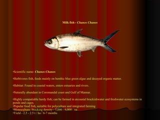 Marine resource of india | PPT