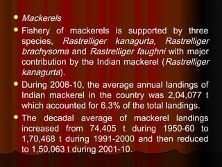  Mackerels
 Fishery of mackerels is supported by three
species, Rastrelliger kanagurta, Rastrelliger
brachysoma and Rast...
